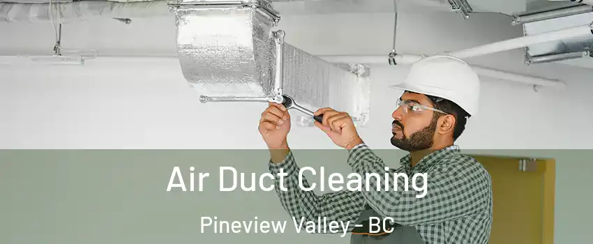  Air Duct Cleaning Pineview Valley - BC