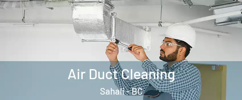  Air Duct Cleaning Sahali - BC