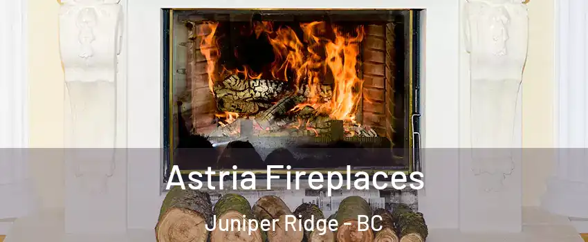  Astria Fireplaces Juniper Ridge - BC