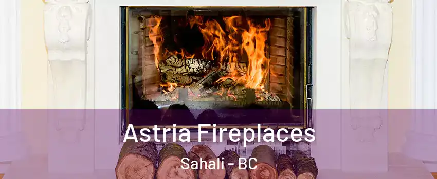  Astria Fireplaces Sahali - BC
