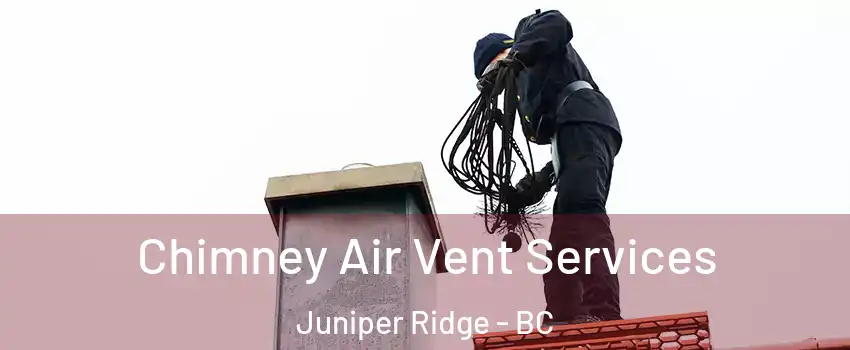  Chimney Air Vent Services Juniper Ridge - BC