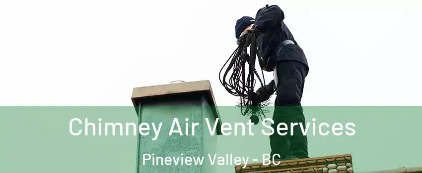 Chimney Air Vent Services Pineview Valley - BC