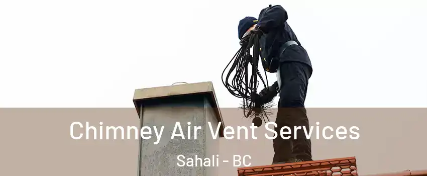  Chimney Air Vent Services Sahali - BC