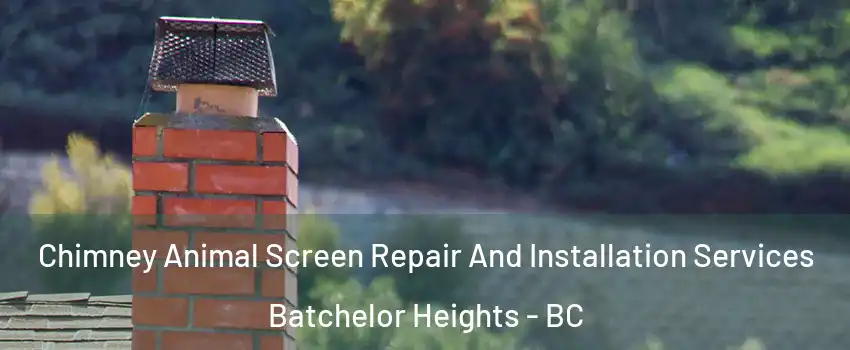  Chimney Animal Screen Repair And Installation Services Batchelor Heights - BC