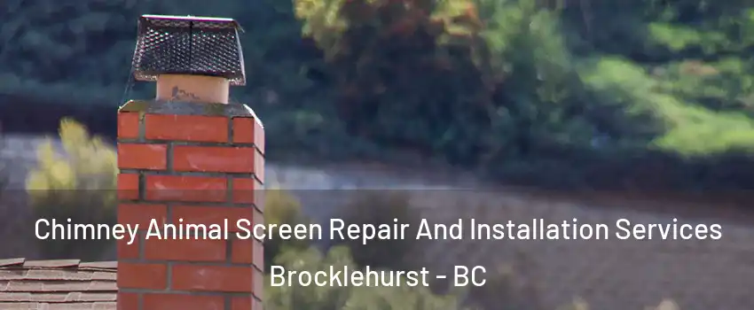  Chimney Animal Screen Repair And Installation Services Brocklehurst - BC