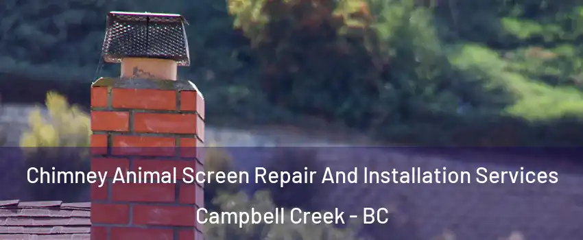  Chimney Animal Screen Repair And Installation Services Campbell Creek - BC