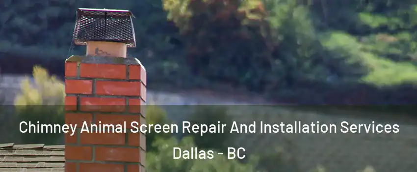  Chimney Animal Screen Repair And Installation Services Dallas - BC