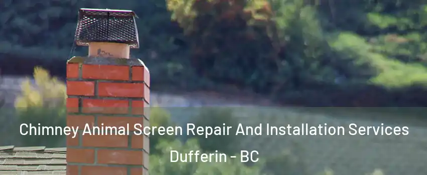  Chimney Animal Screen Repair And Installation Services Dufferin - BC
