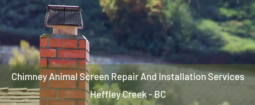  Chimney Animal Screen Repair And Installation Services Heffley Creek - BC