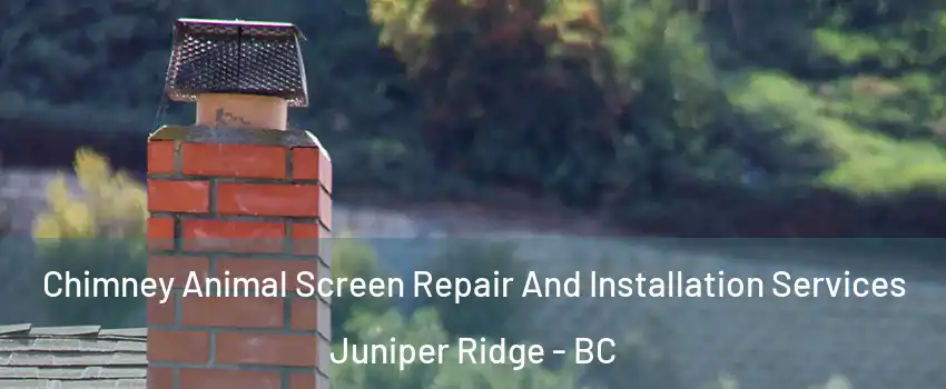  Chimney Animal Screen Repair And Installation Services Juniper Ridge - BC