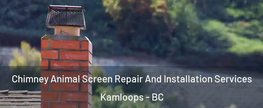  Chimney Animal Screen Repair And Installation Services Kamloops - BC