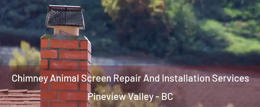  Chimney Animal Screen Repair And Installation Services Pineview Valley - BC