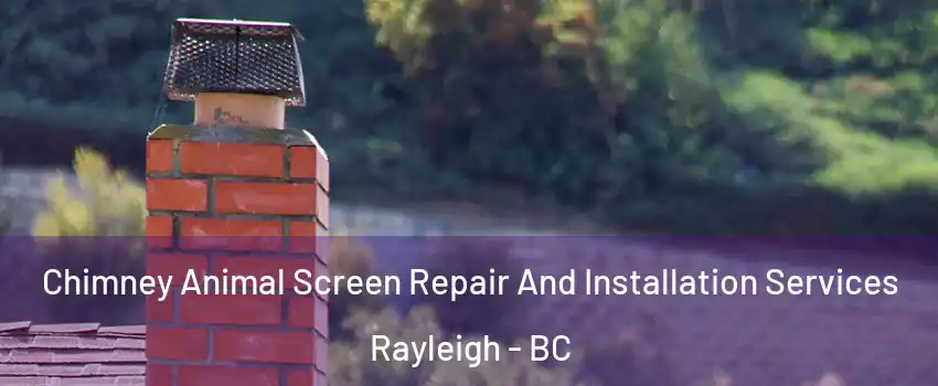 Chimney Animal Screen Repair And Installation Services Rayleigh - BC