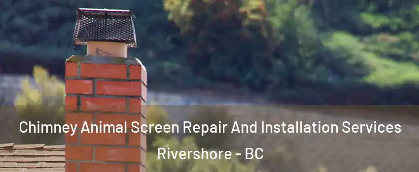  Chimney Animal Screen Repair And Installation Services Rivershore - BC