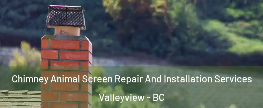  Chimney Animal Screen Repair And Installation Services Valleyview - BC