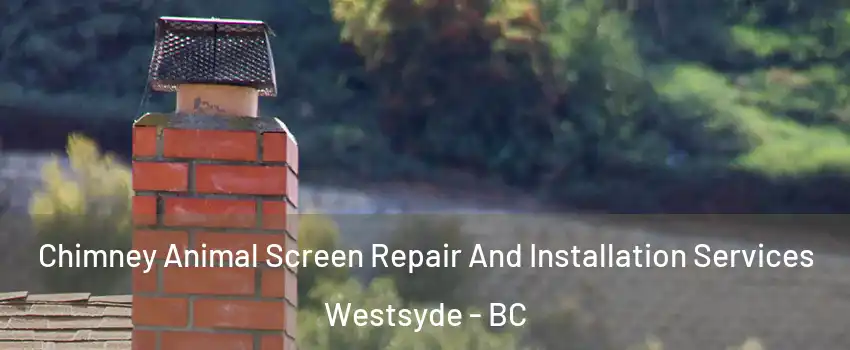  Chimney Animal Screen Repair And Installation Services Westsyde - BC