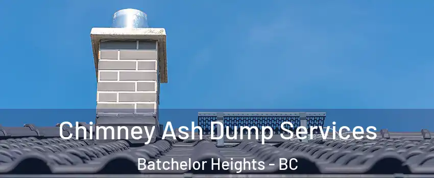  Chimney Ash Dump Services Batchelor Heights - BC