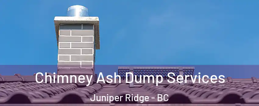  Chimney Ash Dump Services Juniper Ridge - BC