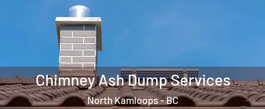  Chimney Ash Dump Services North Kamloops - BC