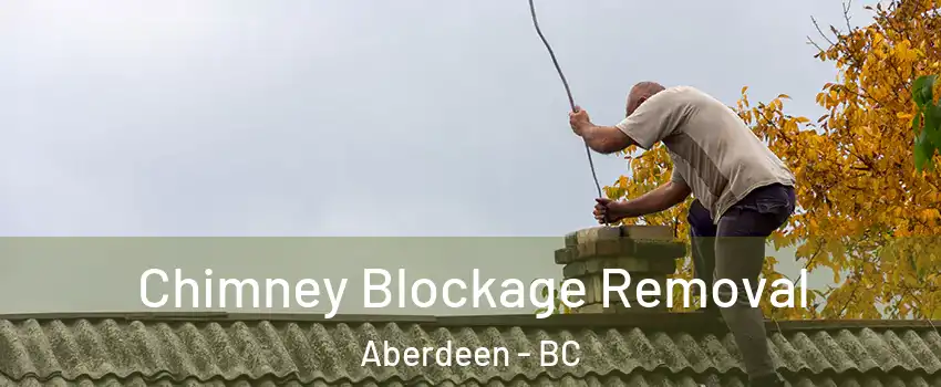  Chimney Blockage Removal Aberdeen - BC