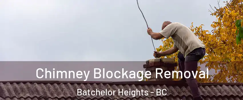  Chimney Blockage Removal Batchelor Heights - BC