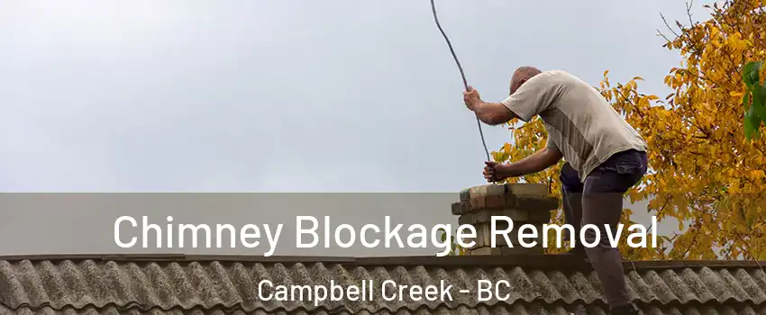  Chimney Blockage Removal Campbell Creek - BC