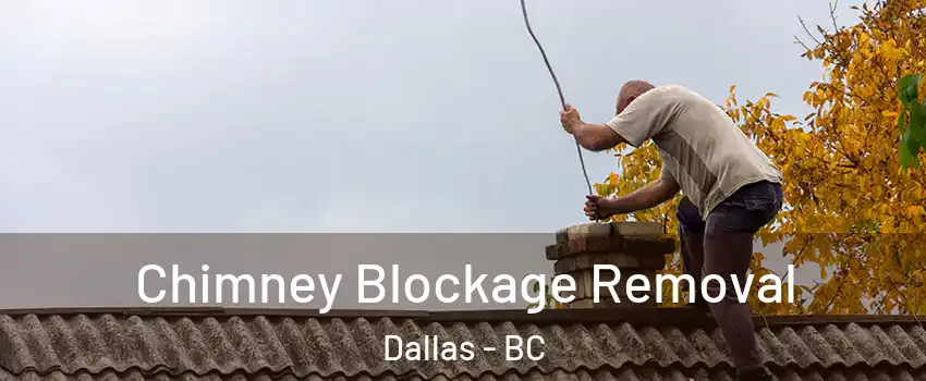  Chimney Blockage Removal Dallas - BC