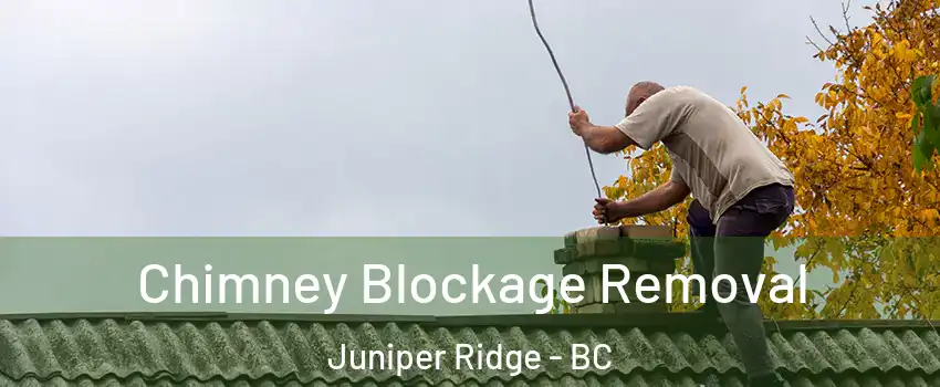  Chimney Blockage Removal Juniper Ridge - BC
