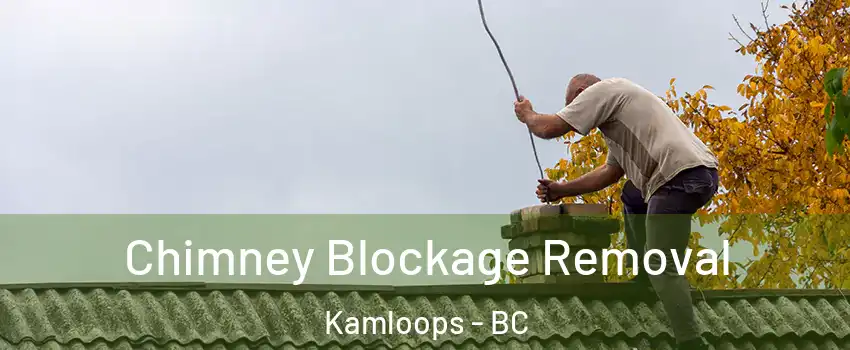 Chimney Blockage Removal Kamloops - BC