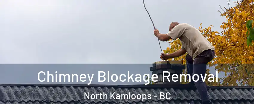  Chimney Blockage Removal North Kamloops - BC