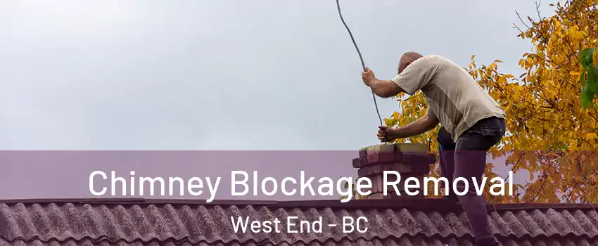  Chimney Blockage Removal West End - BC