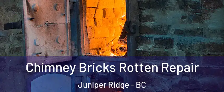  Chimney Bricks Rotten Repair Juniper Ridge - BC