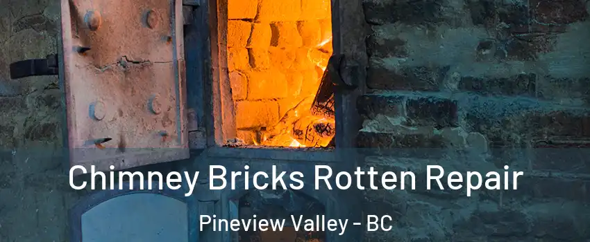  Chimney Bricks Rotten Repair Pineview Valley - BC