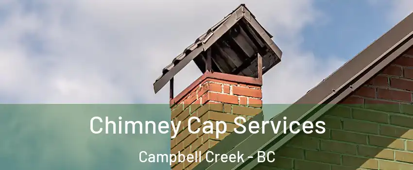  Chimney Cap Services Campbell Creek - BC