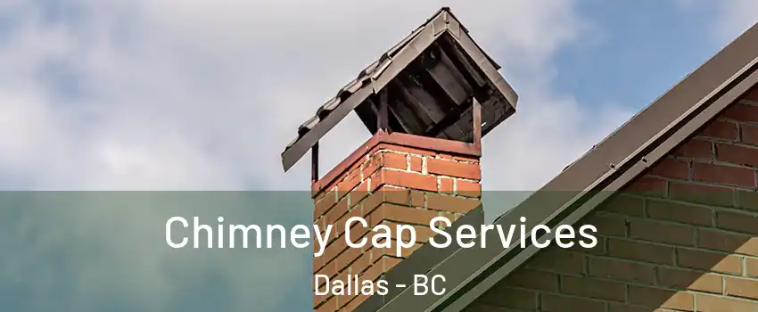  Chimney Cap Services Dallas - BC