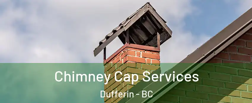  Chimney Cap Services Dufferin - BC