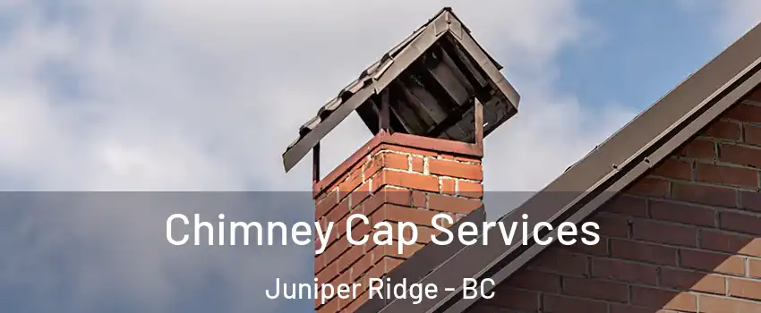  Chimney Cap Services Juniper Ridge - BC