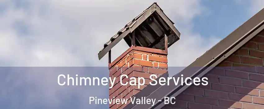 Chimney Cap Services Pineview Valley - BC