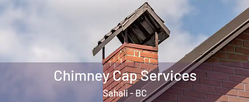  Chimney Cap Services Sahali - BC