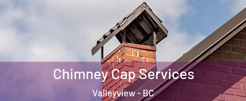  Chimney Cap Services Valleyview - BC