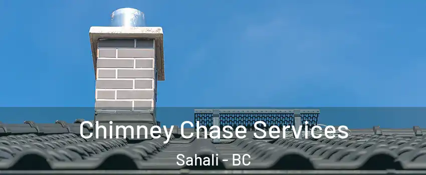  Chimney Chase Services Sahali - BC