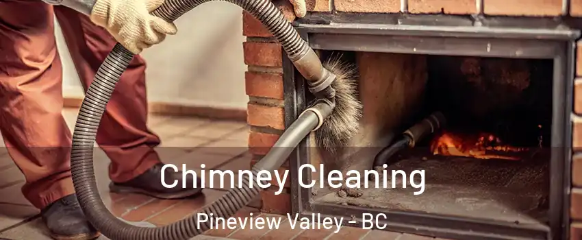  Chimney Cleaning Pineview Valley - BC