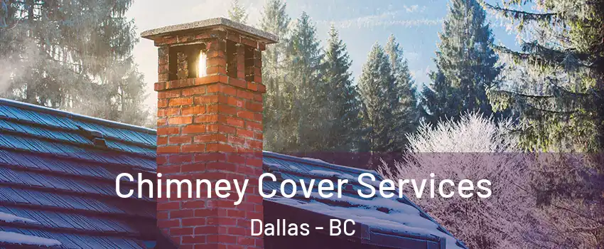  Chimney Cover Services Dallas - BC