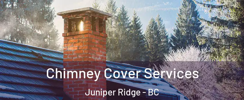  Chimney Cover Services Juniper Ridge - BC