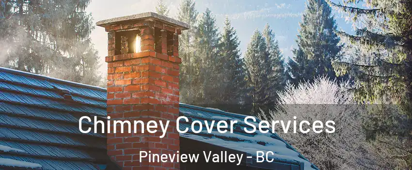  Chimney Cover Services Pineview Valley - BC