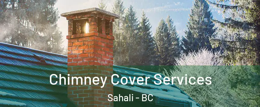  Chimney Cover Services Sahali - BC