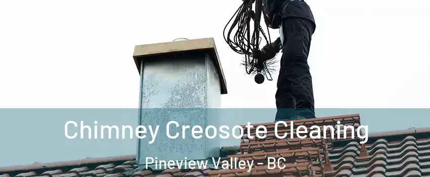  Chimney Creosote Cleaning Pineview Valley - BC