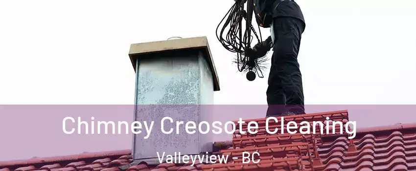  Chimney Creosote Cleaning Valleyview - BC