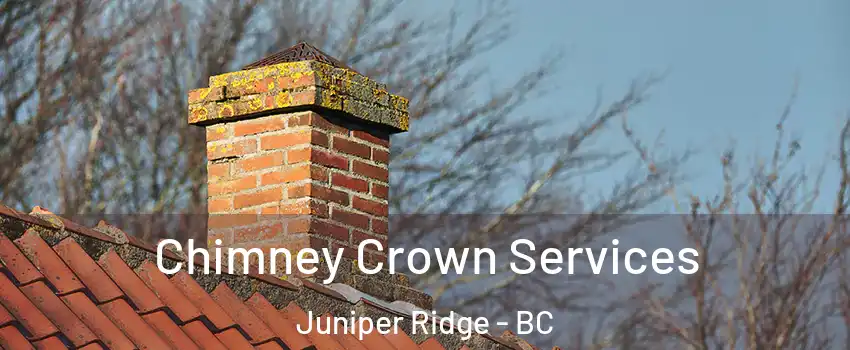  Chimney Crown Services Juniper Ridge - BC