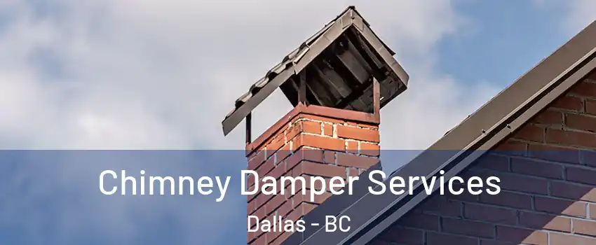  Chimney Damper Services Dallas - BC